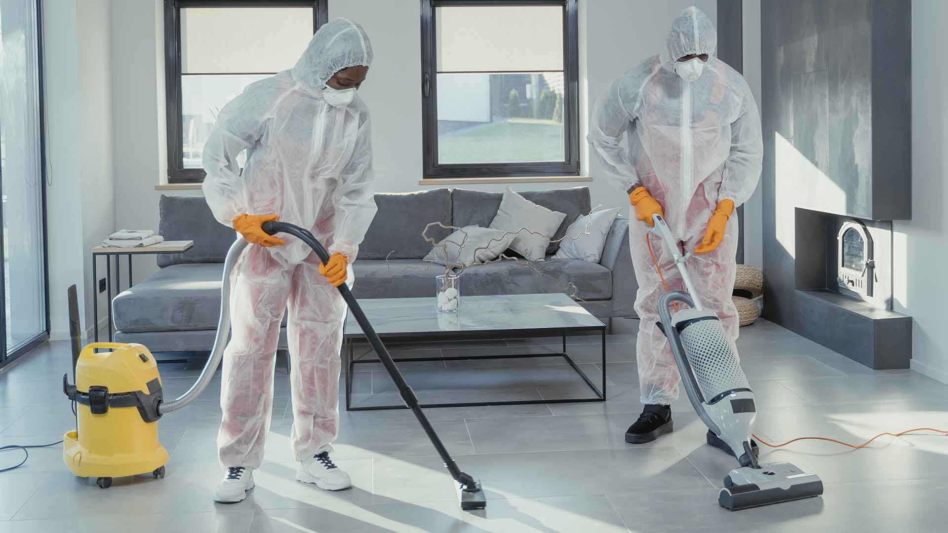 No.1 Pest Control Service